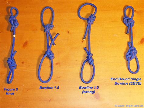 Rope Swing Knots Surveyshead