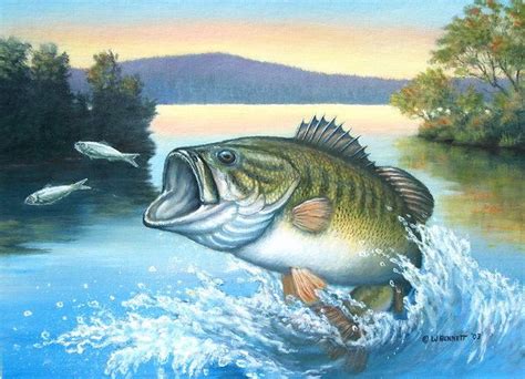 Bass Fishing Paintings Bass Fishing Pictures Bass Fishing Tips Gone