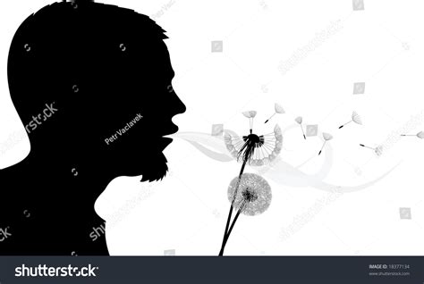 Blowing Into Dandelion Silhouette Stock Photo 18377134 Shutterstock