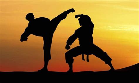 10 Fatos Curiosos Sobre O Karatê Practice Martial Arts Martial Arts