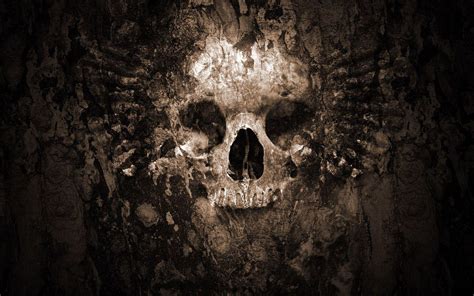Free Download Hd Skull Wallpapers 1920x1200 For Your Desktop Mobile