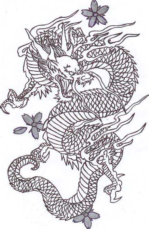 Chinese Dragon Drawing