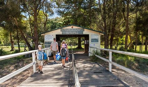 The Basin Campground Nsw National Parks