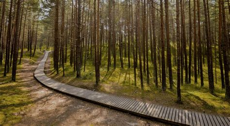 Best Nature Parks In Latvia Latviatravel