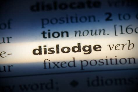 Dislodge Stock Photo Image Of Isolated Text Learn 161393444