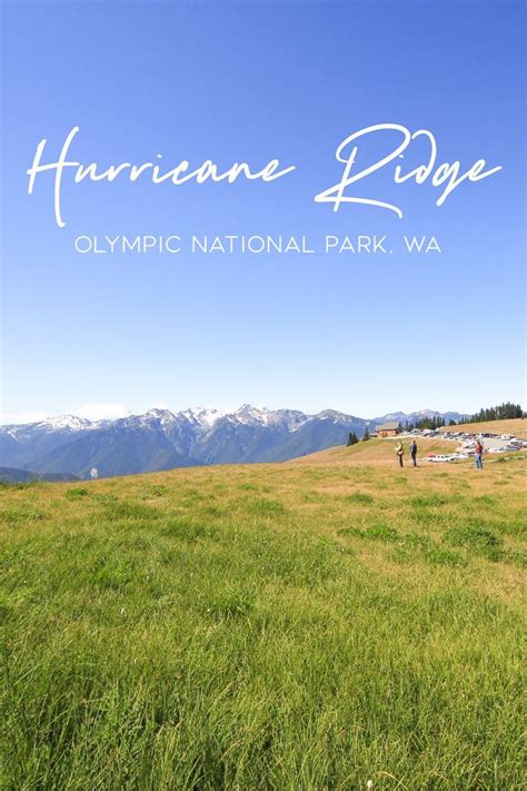 Hiking At Hurricane Ridge In Olympic National Park Olympic National
