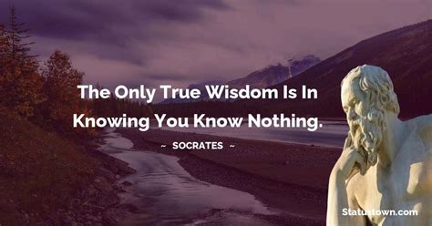 The Only True Wisdom Is In Knowing You Know Nothing Socrates Quotes