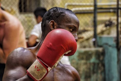 Cuban Amateur Boxing Cuban Amateur Boxing System Foreign I Flickr