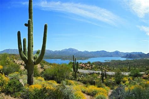 Best Scottsdale Attractions And Activities Top 10best Attraction Reviews