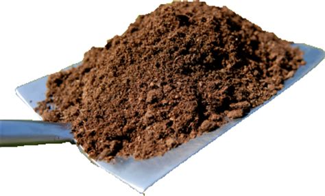 The shipping fee is fixed for an order, regardless of the number of items bought. How is Soil Formed - What is Topsoil Made From?