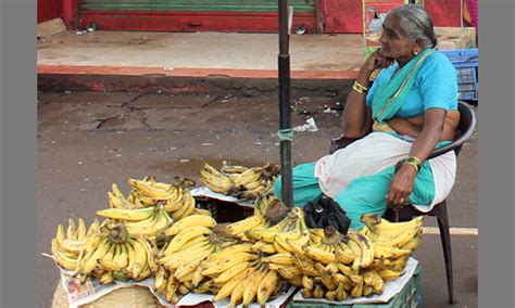 India Moira Bananas Harmal Chillies Get Gi Tag Tfnet