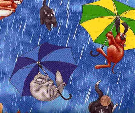 Its Raining Cats And Dogs Mostly Needlepoint