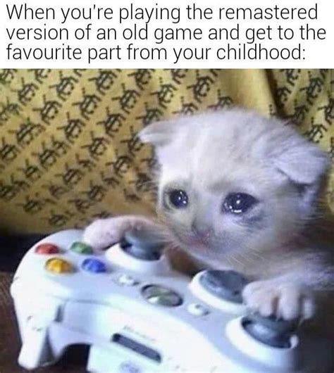 Sad Gaming Cat Remaster Sad Gaming Cat Cat On Xbox