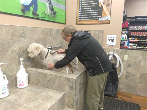 Wearing a mask is required and social distancing. DIY Dog Washing at Pet Valu