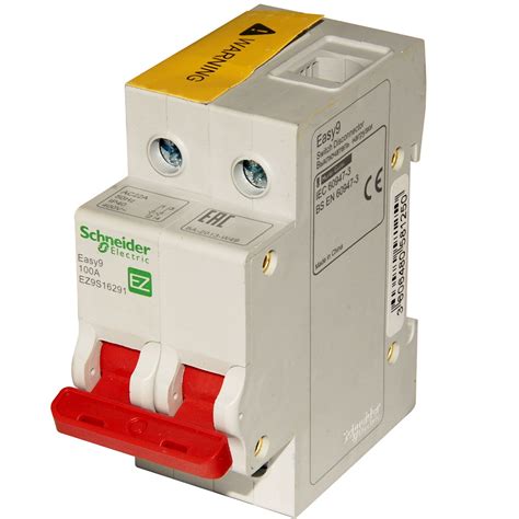 Schneider Easy 9 100 Amp Main Switch Replaces The Domae Dom100sw