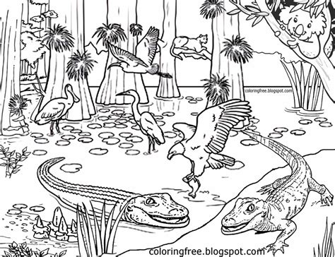Detailed Australian Animal Colouring Pages Total Update