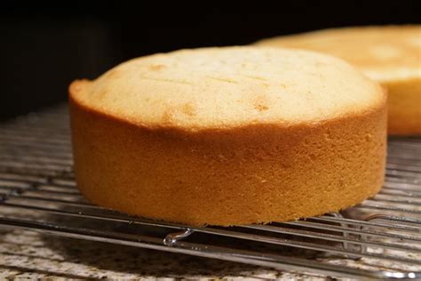 Vanilla Sponge Cake Recipe Kerala Cooking Recipes Kerala Cooking