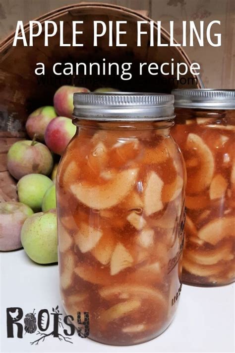 Canning Apple Pie Filling Rootsy Network
