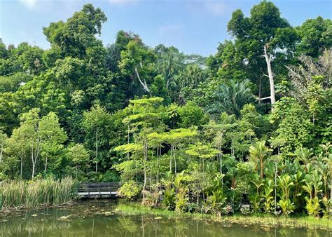 Sentiments of Serenity: Exploring Singapore's Tranquil Gardens