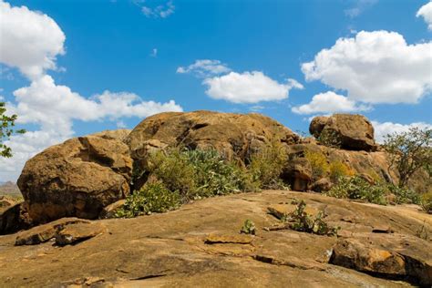 Rocky Mountain Hill In African Savanna Bush Stock Image Image Of