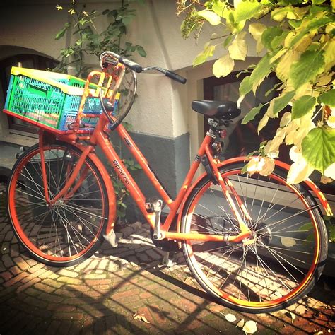 Sunny Bike Flimflim Flickr