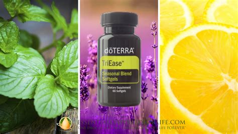 Dōterra Triease Softgels Essentially Spoiled For Life