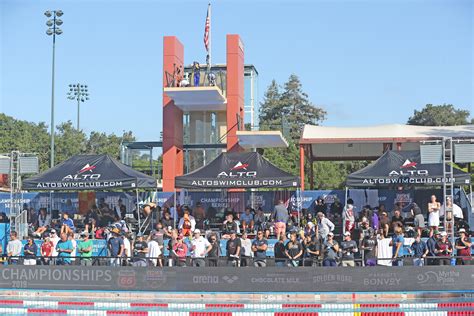 The Best Competitive Swim Team In Palo Alto — Alto Swim Club