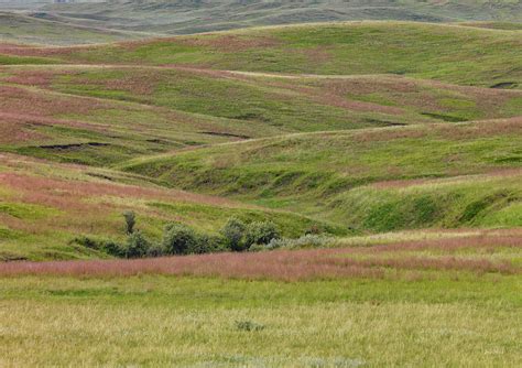 East Montana Grasslands Photograph By Leland D Howard Fine Art America