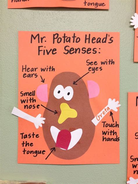 Who Better To Detail The Five Senses Than Mr Potato Head Great For A