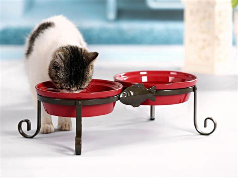 Sparkworks Elevated Cat Feeding Station 2 X 800ml Includes Two