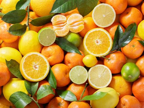 Nz Citrus Season Off To A Good Start Fmcg Business