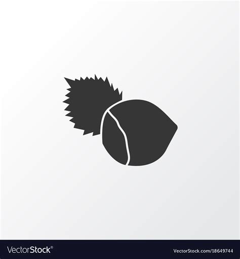 Hazelnut Icon Symbol Premium Quality Isolated Vector Image