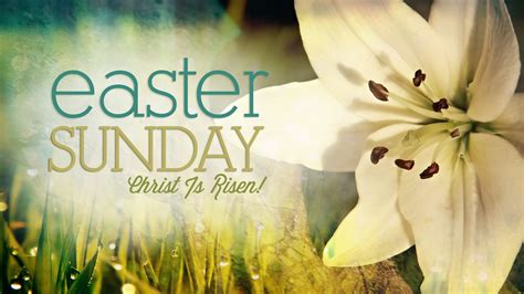 Sharing The Good News Of Easter Insights Life Song Lyrics And Video Blog Church In Oshawa