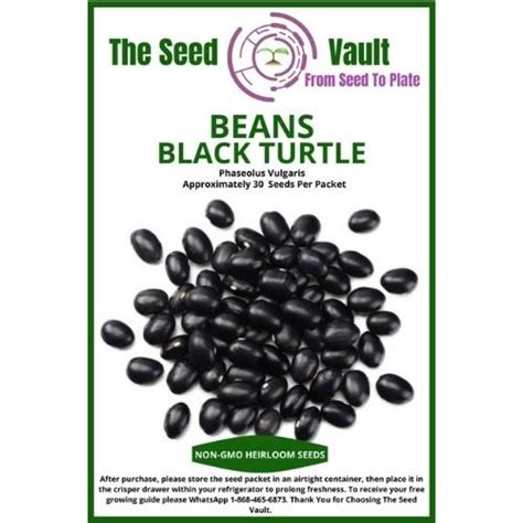 Beans Black Turtle Seeds Ah Grow