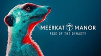 Meerkat Manor: Rise of the Dynasty - BBC America Series - Where To Watch