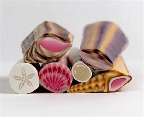 Polymer Clay Sea Shell Canes Tutorial Etsy Air Dry Clay Projects