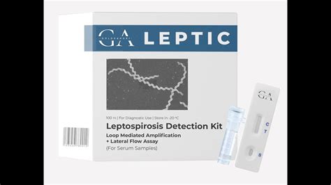 Leptic Leptospirosis Molecular Test In For Remote Places Youtube