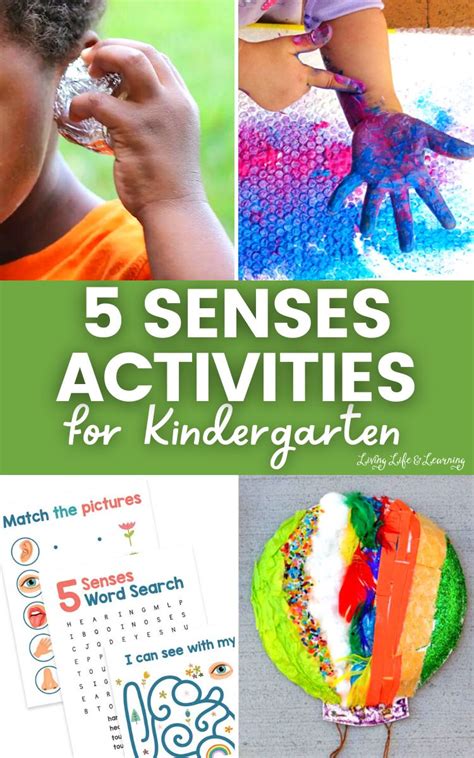 5 Senses Activities For Kindergarten