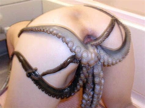 Amateur Porn Octopus Girls