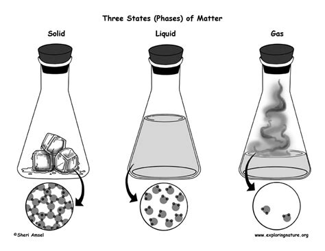 Phases Of Matter Gas Liquids Solids