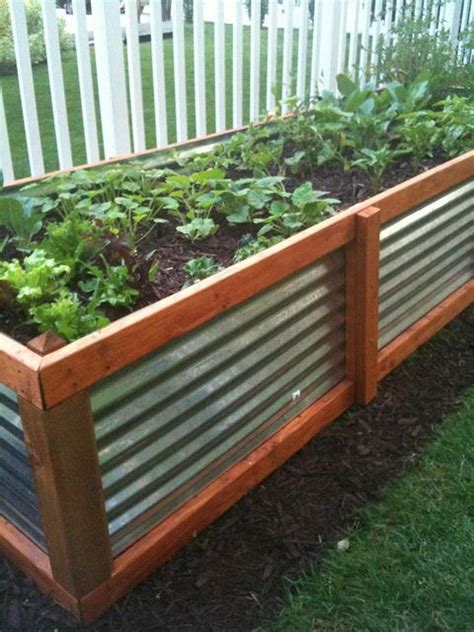 Find out all about how to grow cut and come again vegetables. Galvanized steel raised bed garden | Above ground garden ...