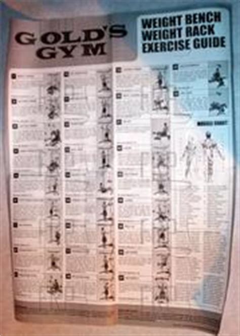 It considered a safe and reliable place to purchase online on website where exercise bike reviews 101 recommend. Gold S Gym Workout Chart Pdf | EOUA Blog