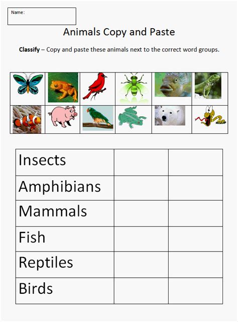 Animal Classification Worksheet 1st Grade Science Primary Science