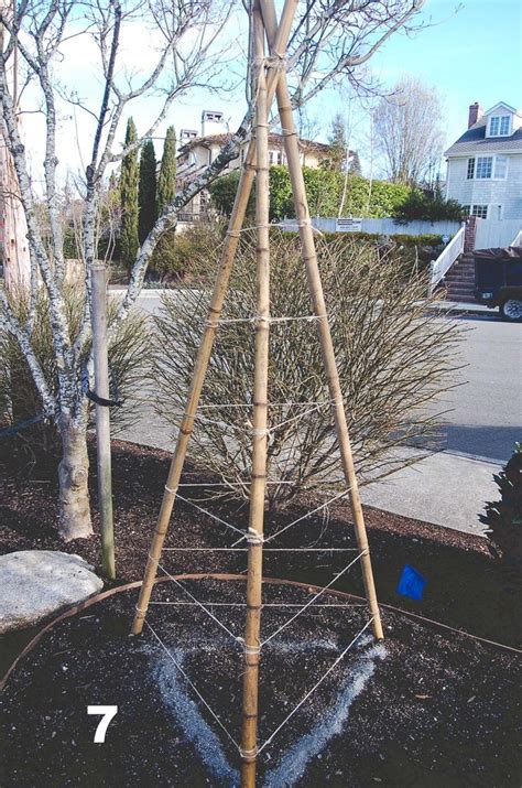 Diy Trellis Bamboo Sticks Doing It Yourself