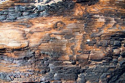 Burned Wood Stock Photography Free Wood Burning Patterns Stock