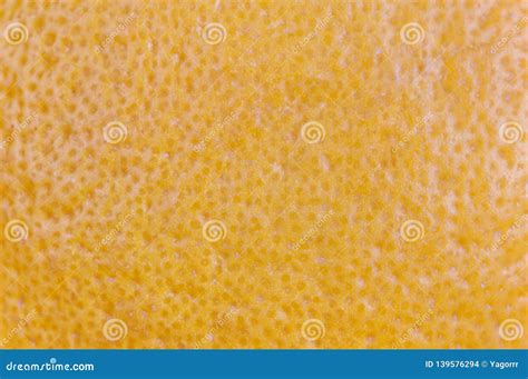 Lemon Peel Texture Stock Photo Image Of Food Bright 139576294