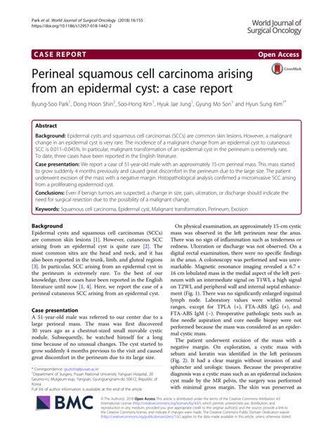 Pdf Perineal Squamous Cell Carcinoma Arising From An Epidermal Cyst
