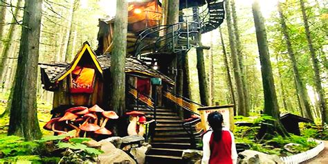 This Enchanted Forest In Canada Brings All Of Your Favourite Classic