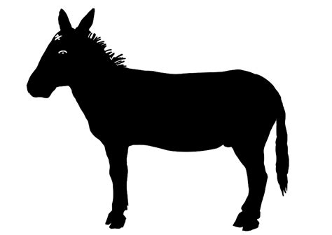 Donkey Vector Image Public Domain Vectors