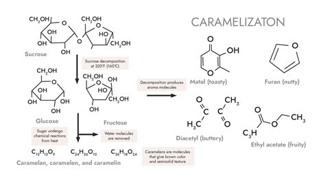 Caramelization What Is It Food Meets Science Conference